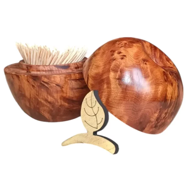 Porte cure-dent en Loupe de Thuya